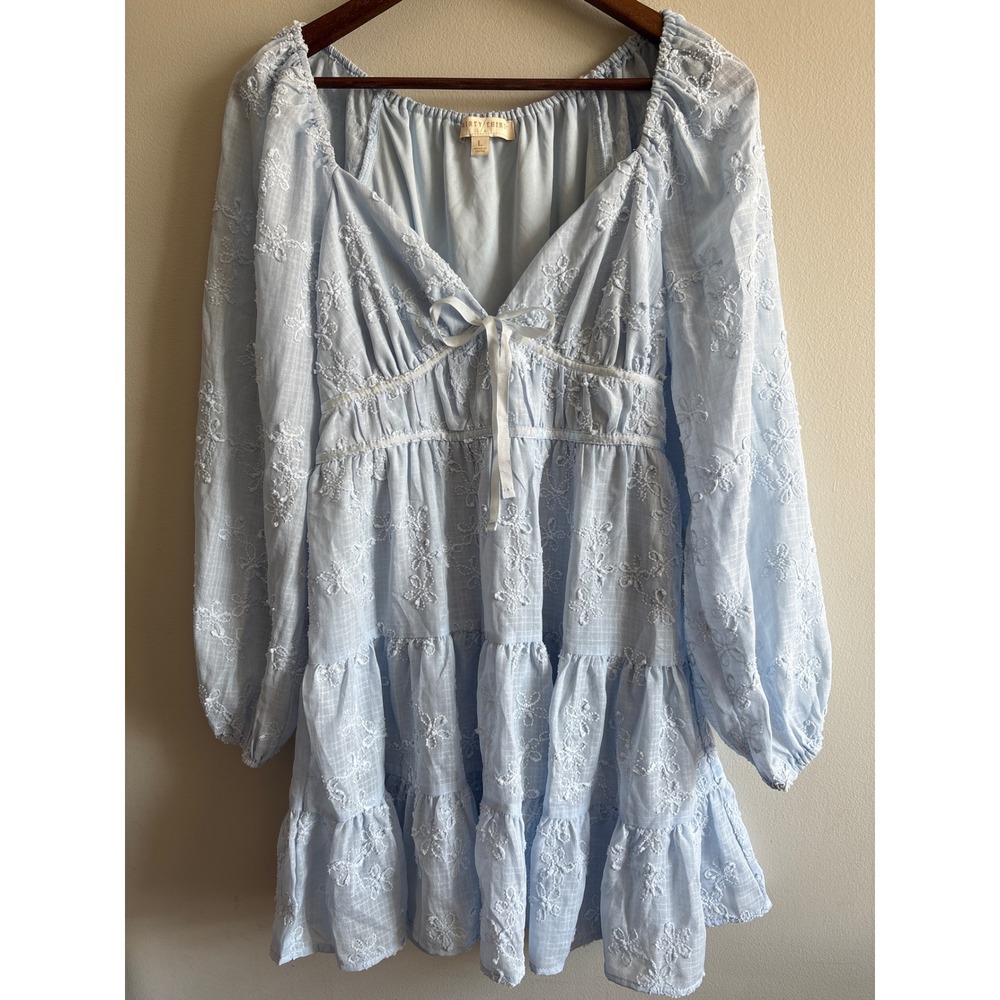 Thirty Thirty Blue Embroidered Mini Dress Large Boho Cottagecore